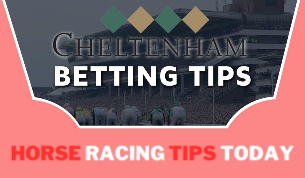 Cheltenham Betting Tips