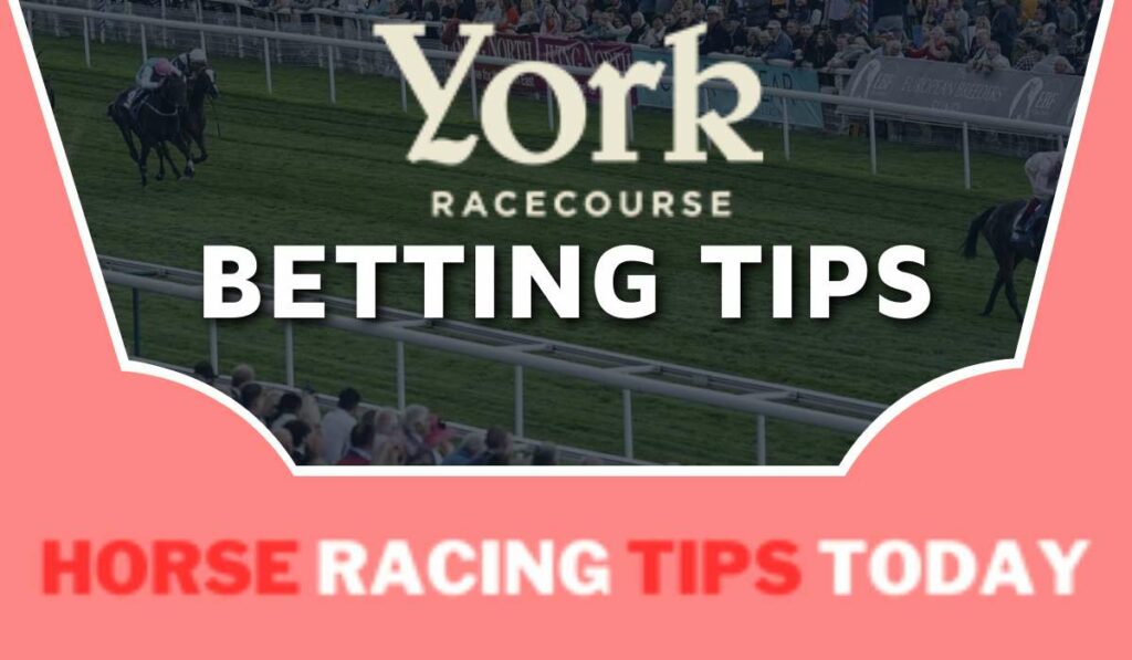 York Betting Tips